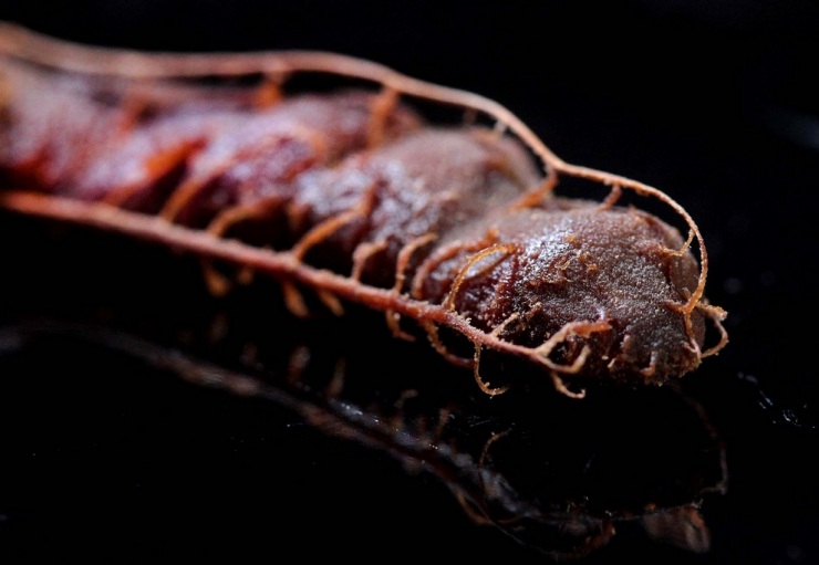 Топ-10 самых необычных фруктов