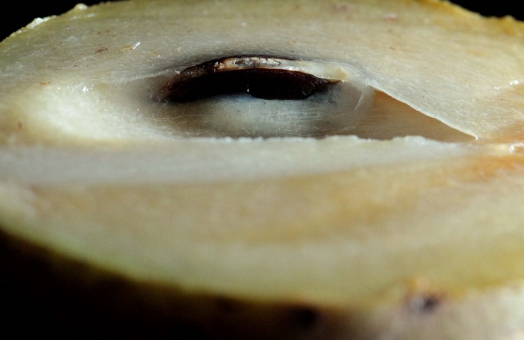 Топ-10 самых необычных фруктов