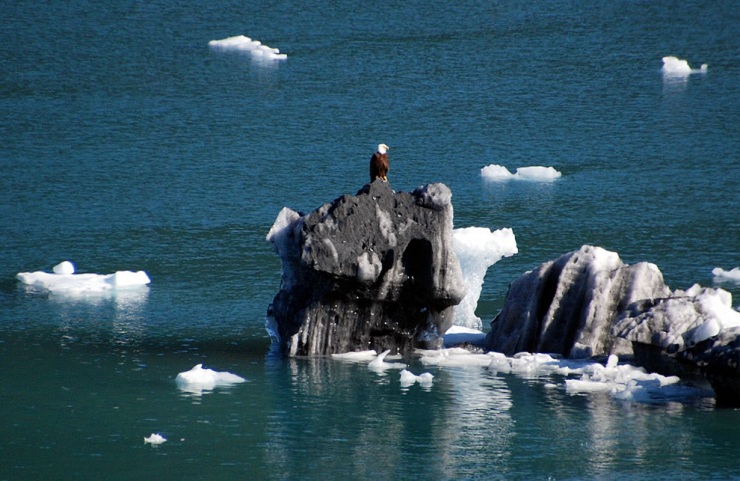 Ледяная красота