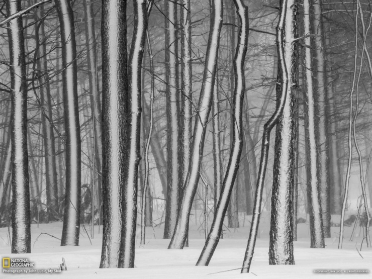 Обои для рабочего стола от National Geographic за апрель 2013