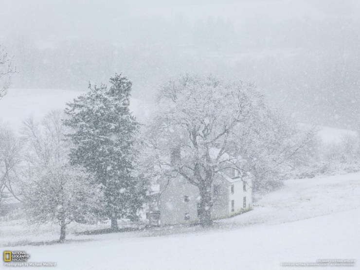 Обои для рабочего стола от National Geographic за апрель 2013