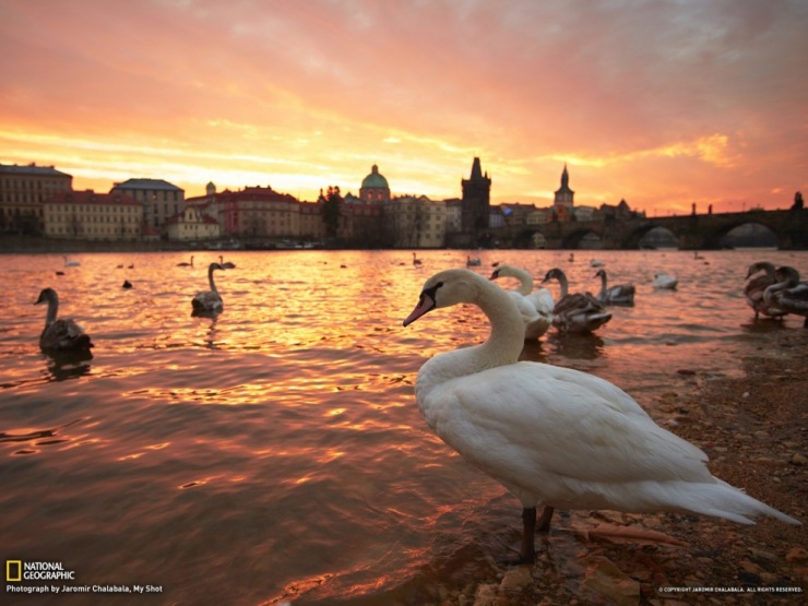 Обои для рабочего стола от National Geographic за апрель 2013