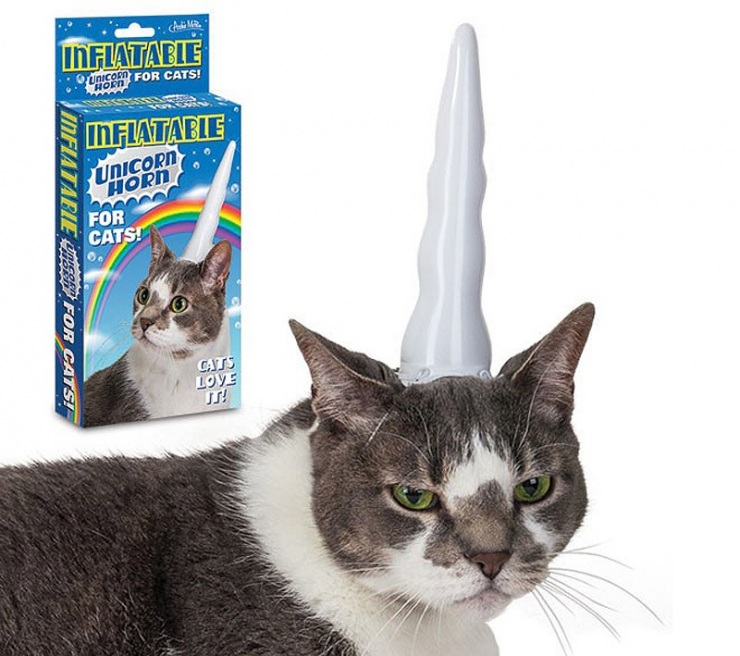 Мой хозяин идиот!