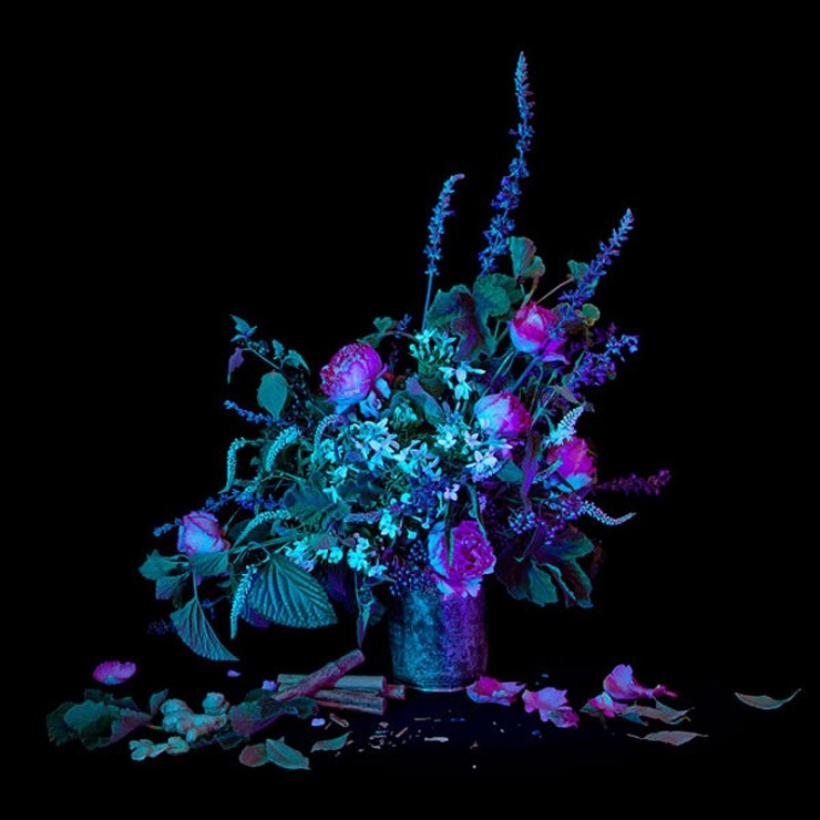 Книга теней магия в картинках на каждый день