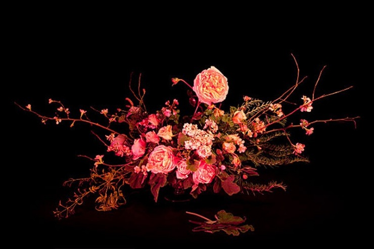 Книга теней магия в картинках на каждый день