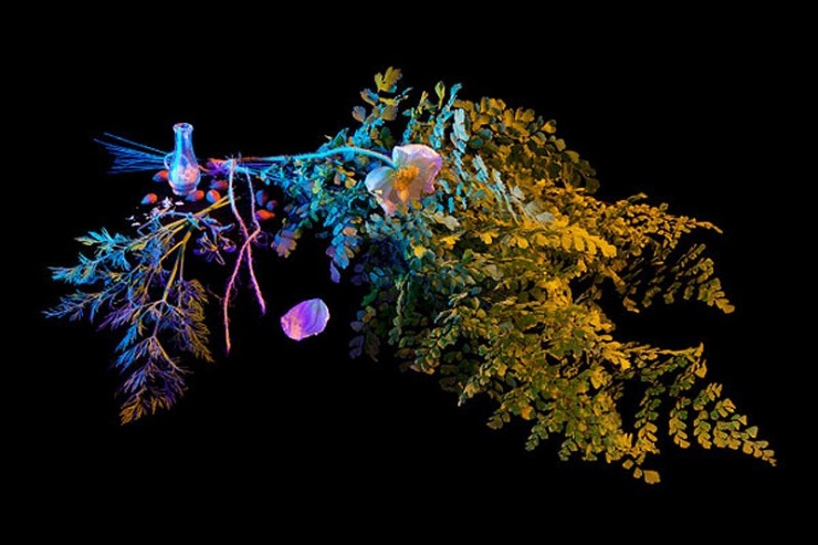 Книга теней магия в картинках на каждый день