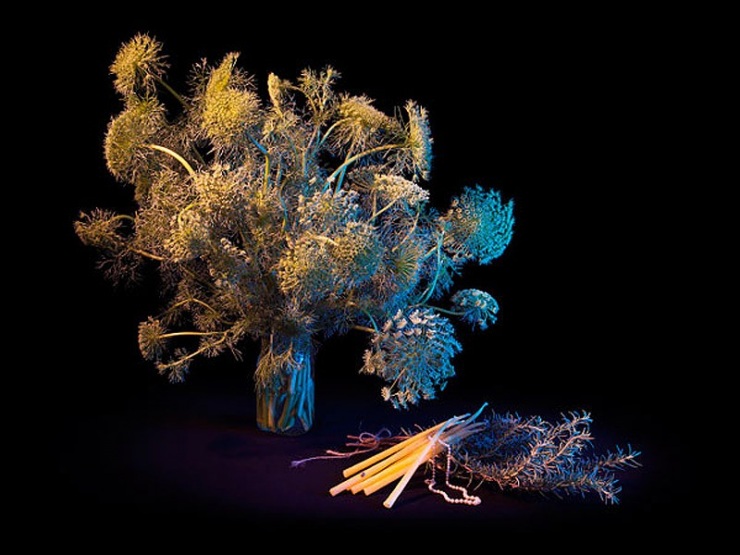 Книга теней магия в картинках на каждый день