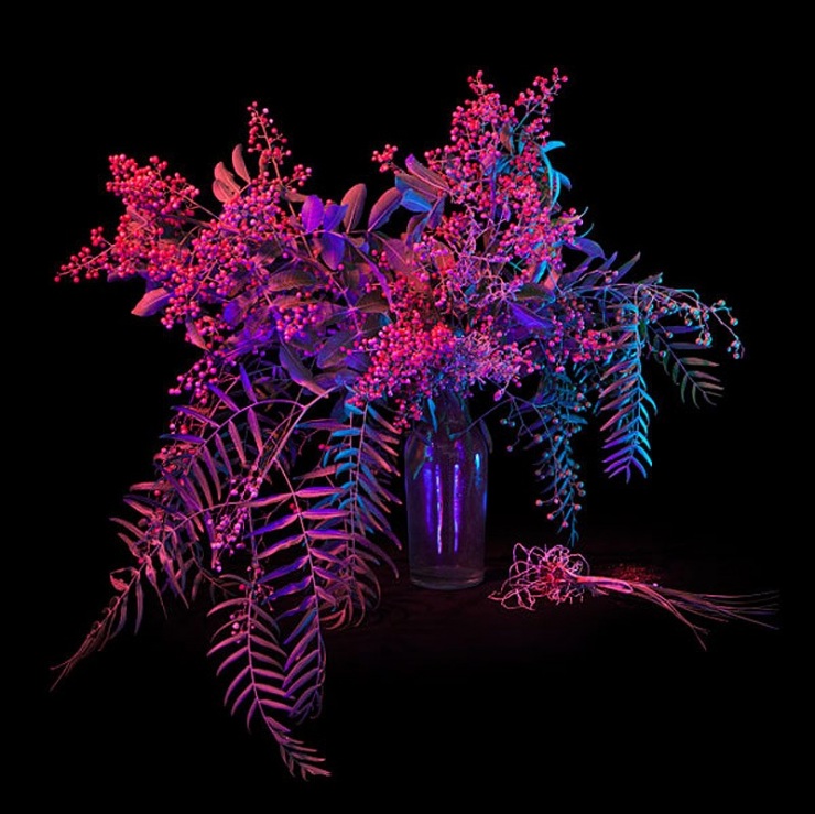 Книга теней магия в картинках на каждый день