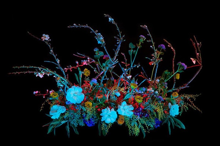 Книга теней магия в картинках на каждый день