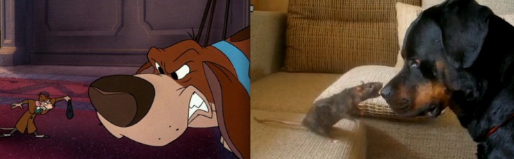 Дональд Дак и еще 20 диснеевских животных в реальной жизни