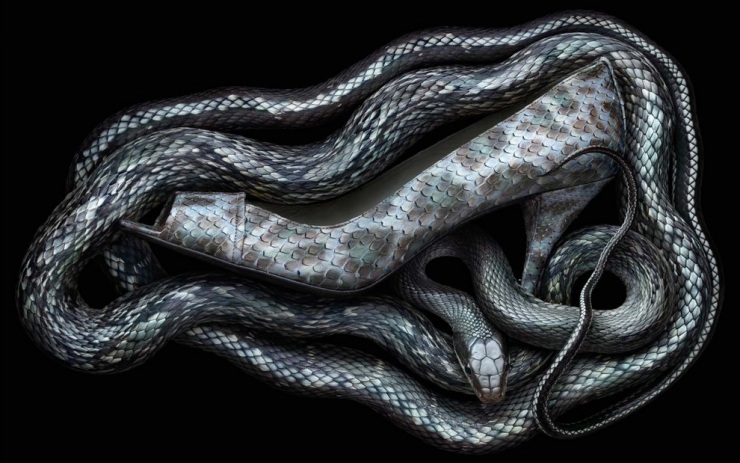 Необычный взгляд на украшения от Питера Липпмана