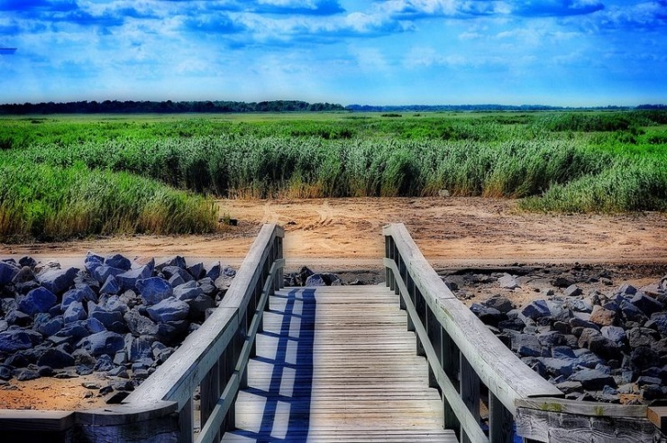 50 штатов Америки и их пейзажи (50 фото)