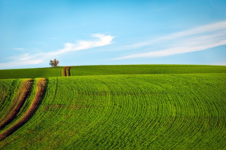 Изумрудные холмы Палуз