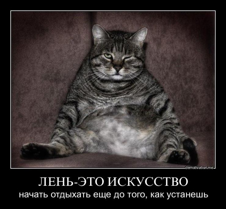 35 закономерностей жизни (35 фото)