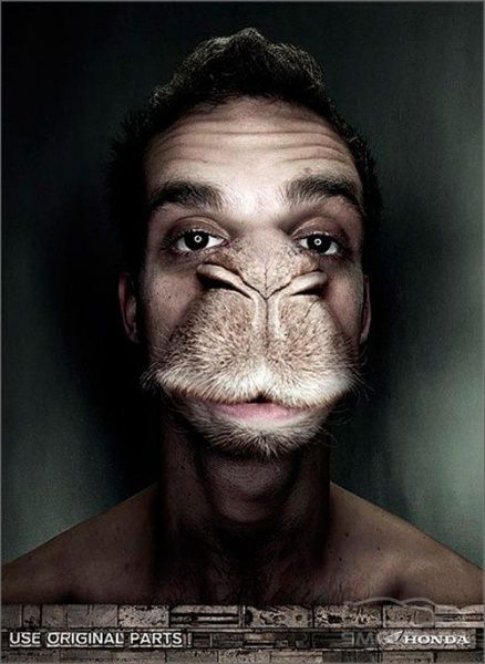 Креативная реклама автомобилей (28 фото)