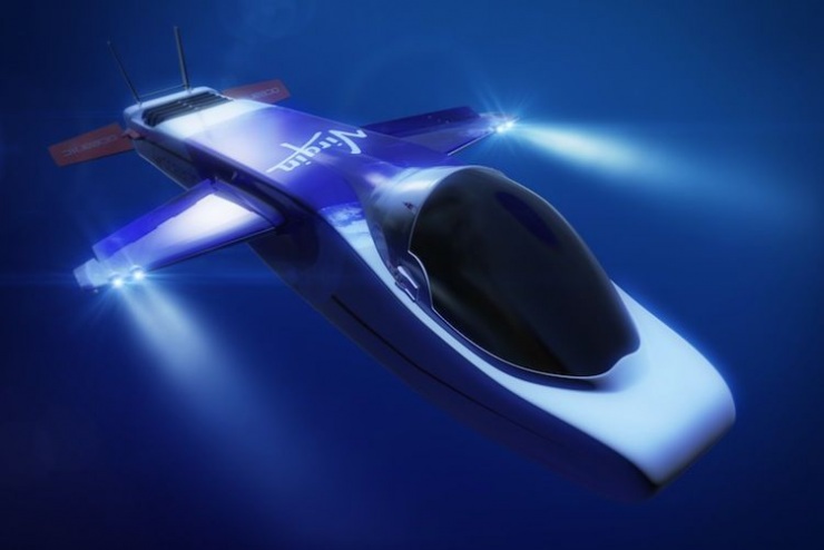 Уникальные проекты богатых людей (11 фото)