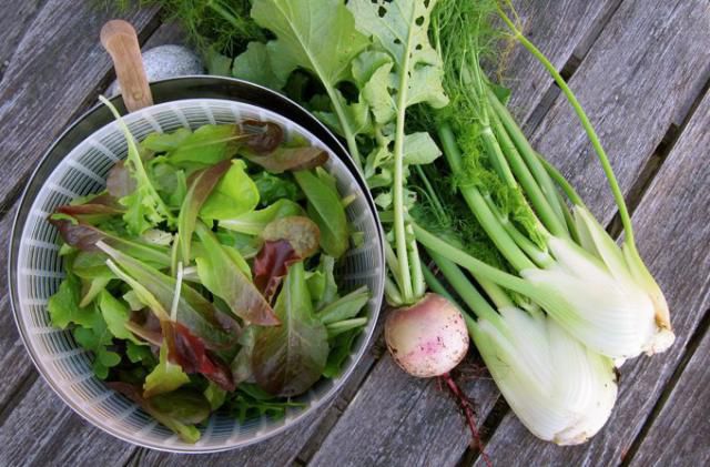 Крутые закуски к пиву