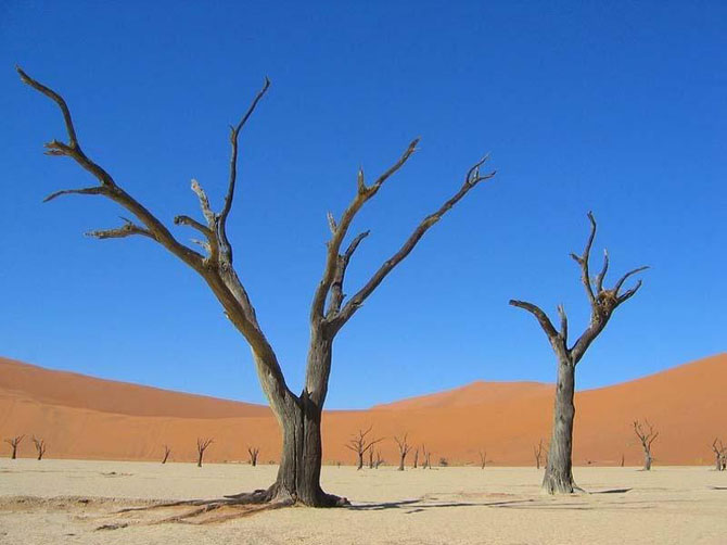 Сюрреалистический парк Намиб-Науклуфт