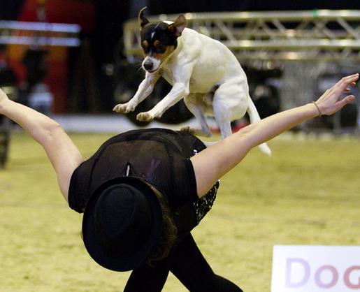 Самые необычные и малоизвестные виды спорта