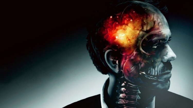 10 интересных фактов о нашем теле