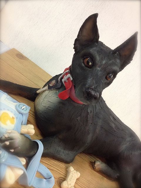 Креативные торты Дебби Гоард