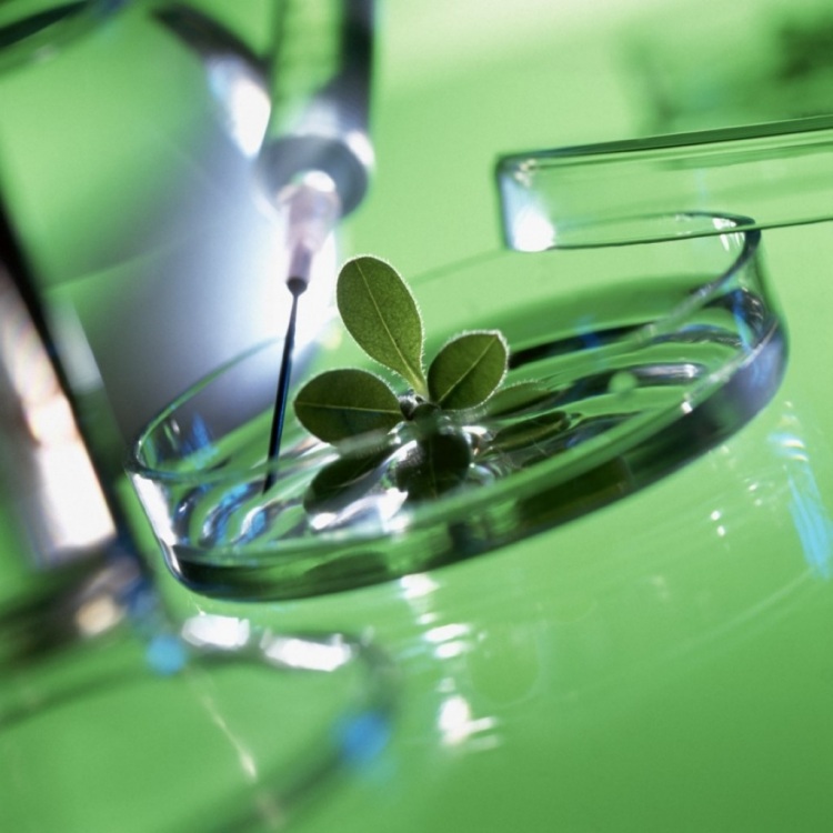 Список вредных консервантов, добавляемых в продукты