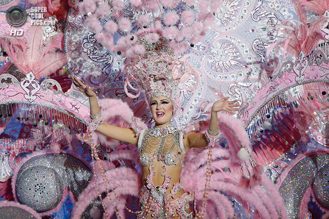 Конкурс за звание королевы карнавала Санта-Крус-де-Тенерифе 2014