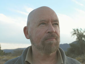 7 самых любопытных фактов о взаимоотношениях человека и кошки