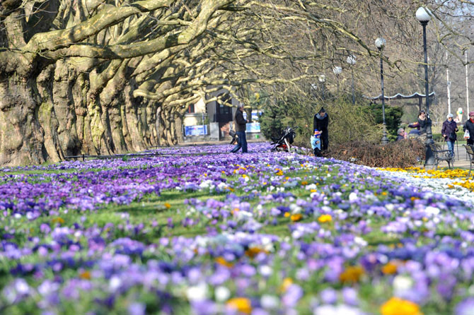 Первые весенние дни
