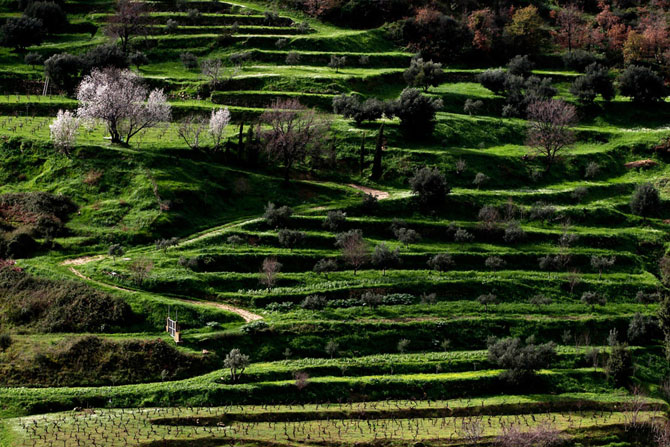 Первые весенние дни