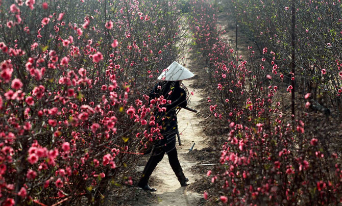 Первые весенние дни