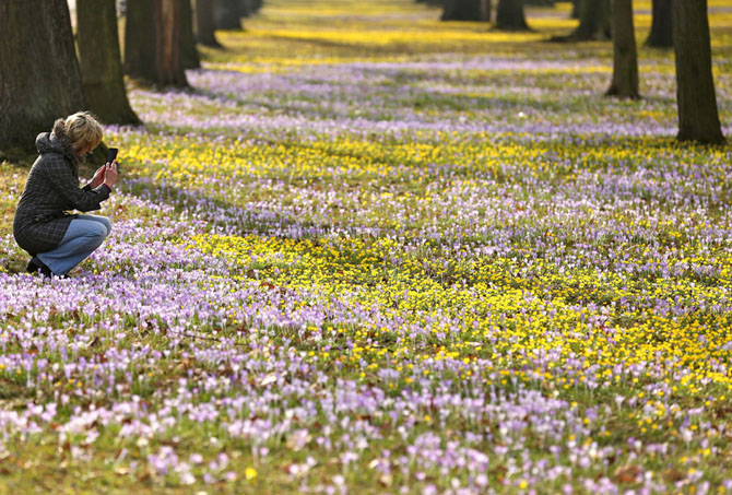 Первые весенние дни