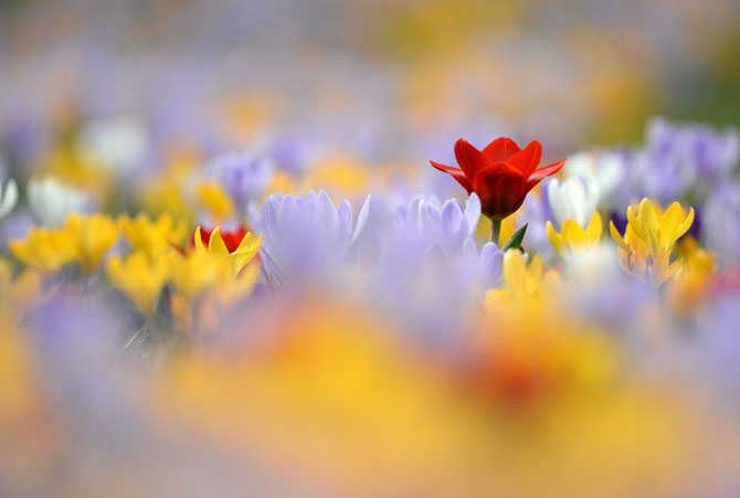 Первые весенние дни