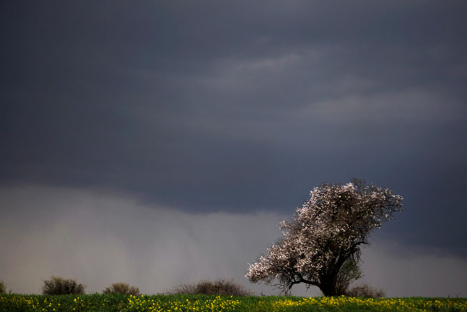 Первые весенние дни