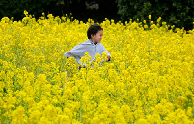 Первые весенние дни