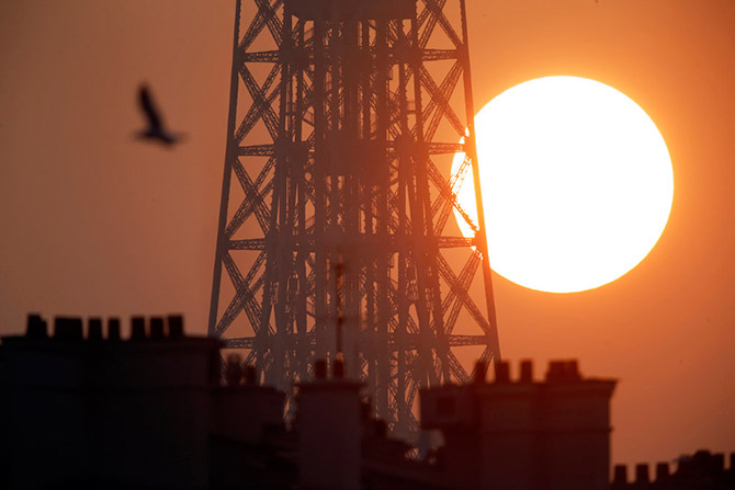 Весенние цветы