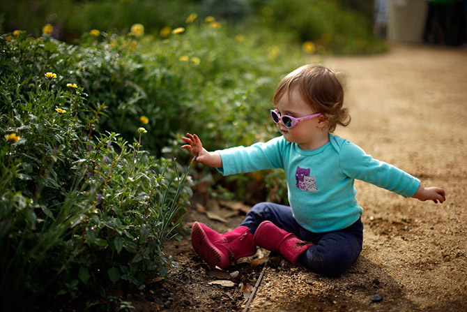 Весенние цветы