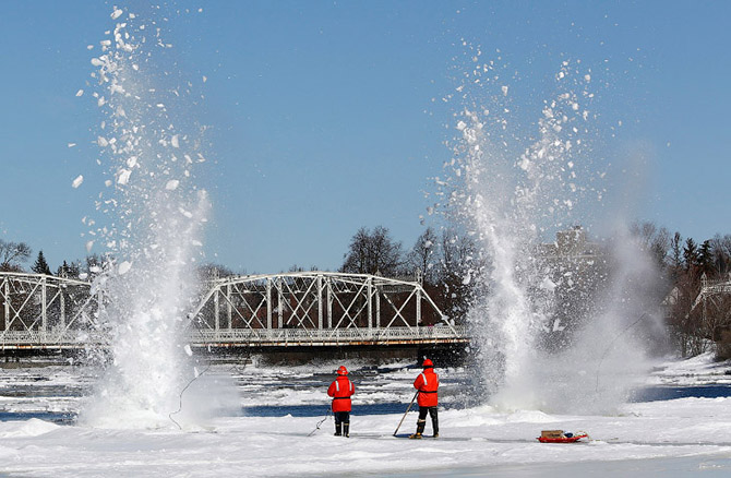 Весенние цветы