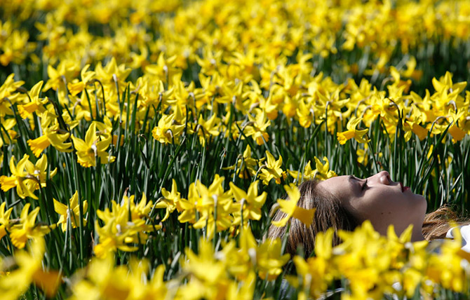 Весенние цветы