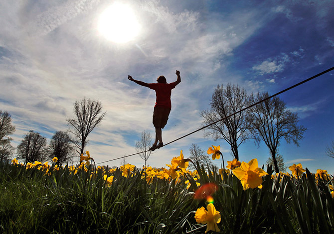 Весенние цветы