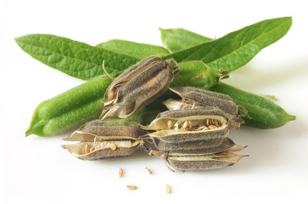 Продукты! И как они растут!