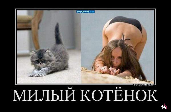 Ню-мотиваторы (18+)