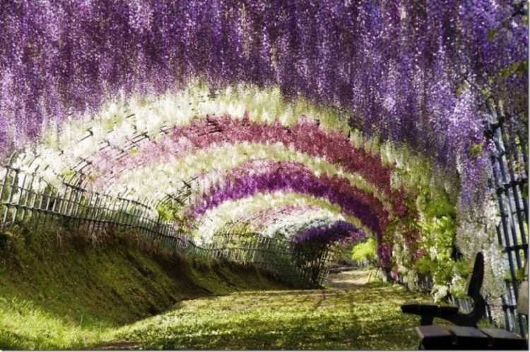 Самые красочные места на планете