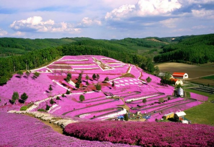 Самые красочные места на планете