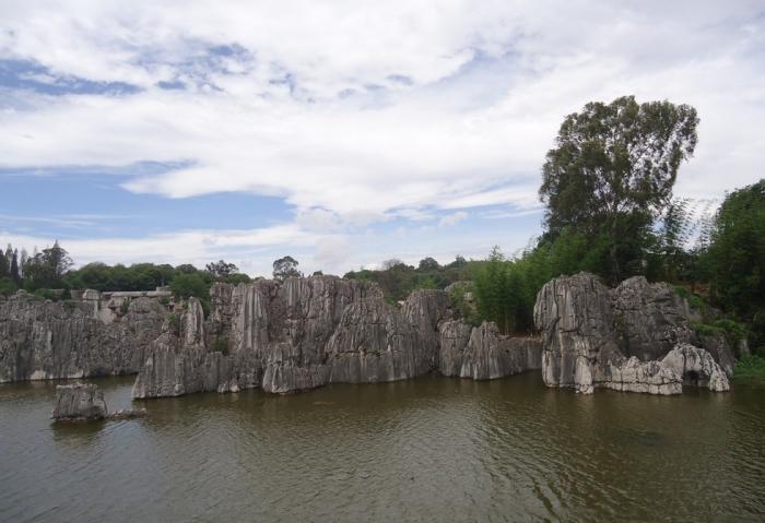 Каменный лес (11 фото)