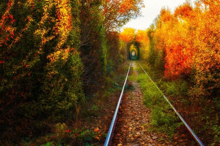 22 веских повода съездить в Румынию