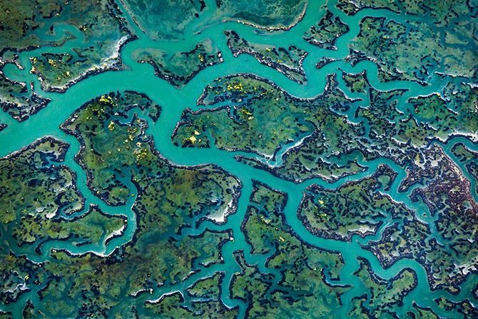 Абстрактные узоры, созданные самой природой