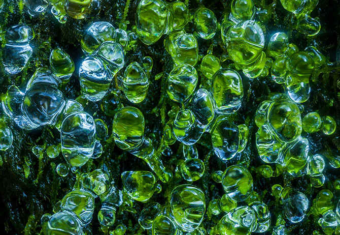 Абстрактные узоры, созданные самой природой