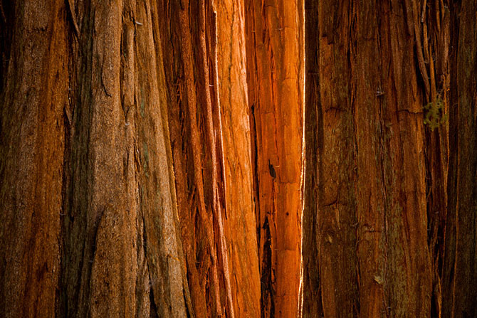 Абстрактные узоры, созданные самой природой