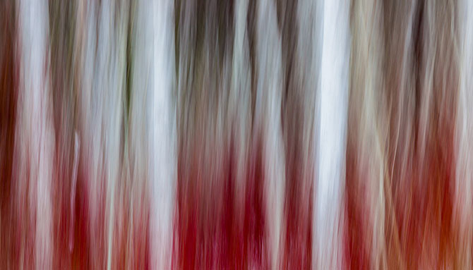 Абстрактные узоры, созданные самой природой